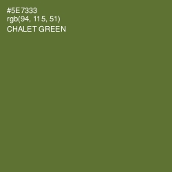 #5E7333 - Chalet Green Color Image